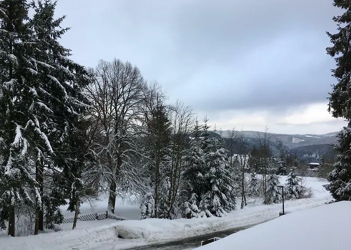 De Ruiter Lejlighed Winterberg